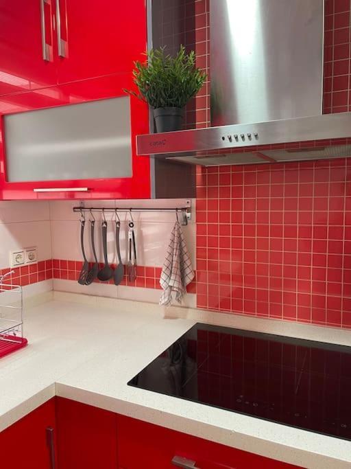 Apartamento El Pocito コルドバ エクステリア 写真